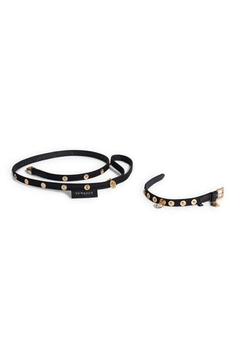 versace pet accessories